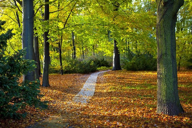 3-Hour Bike Tour of Tiergarten and Berlin's Hidden Places - Key points before you book