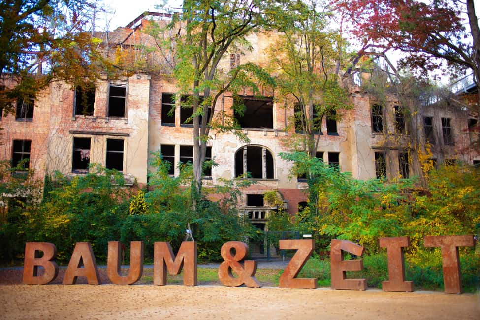 Beelitz-Heilstätten: Baum&Zeit Tree Top Walk Entry Ticket - Key things to know before you go