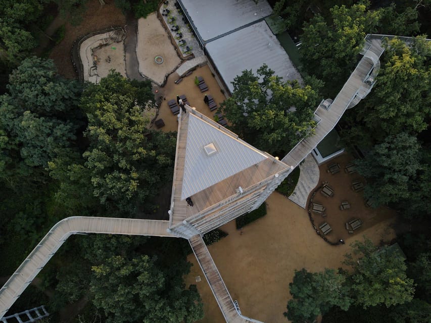 Beelitz-Heilstätten: Baum&Zeit Tree Top Walk Entry Ticket - Alpenhaus ruins and the canopy forest since 1945: history grows up here