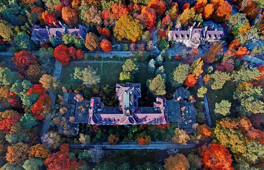 Beelitz-Heilstätten: Baum&Zeit Tree Top Walk Entry Ticket - Guided building tours: when you should add the ticket