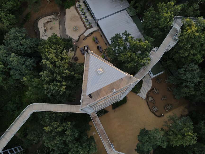 Beelitz-Heilstätten: Baum&Zeit Tree Top Walk Entry Ticket - Timing and on-the-ground tips: make your day smoother