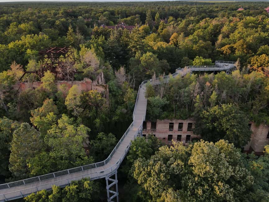 Beelitz-Heilstätten: Baum&Zeit Tree Top Walk Entry Ticket - Baum&Zeit entry ticket basics: what your $19 gets you