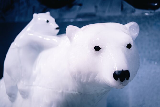 Berlin Combo: Hop-On-Hop-Off Bus and Icebar Ticket - Key things to know before you go