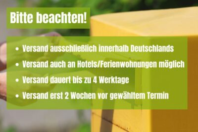 Berlin Kreuzberg: Scavenger Hunt Self-Guided Tour - Price and Value: $52 Per Group Up to 10