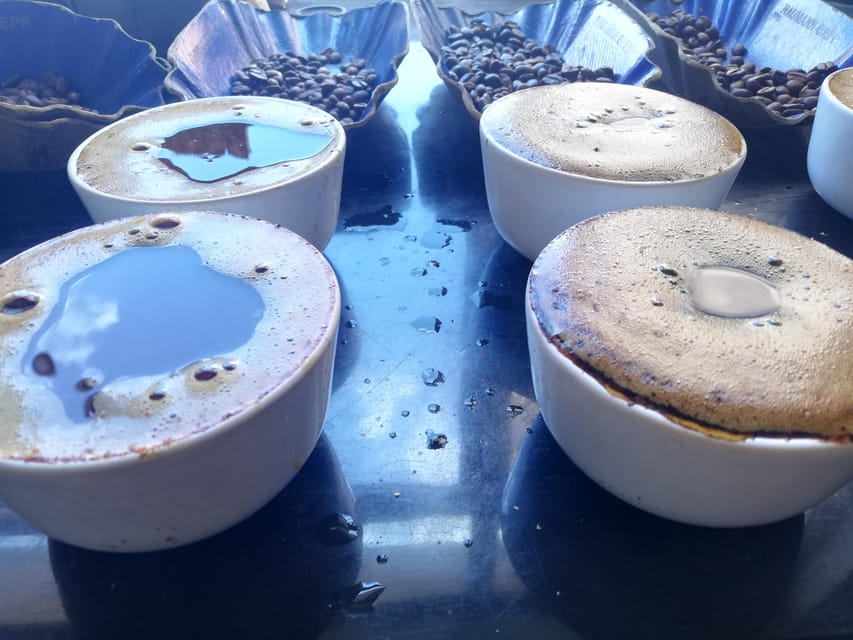 DIY Coffee Roasting in Berlin - Price and Value: Is $61 Reasonable for This Experience?
