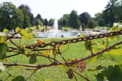 From Berlin: Potsdam Half-Day Tour in Spanish - Your Spanish-Language Guide Makes the Whole Route Easier