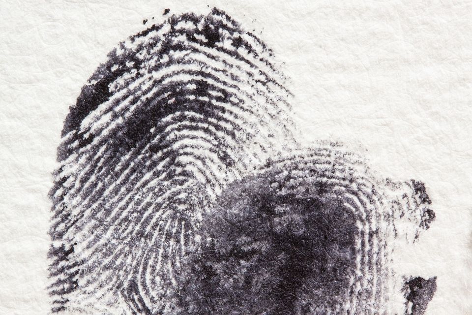Potsdam: Jägervorstadt Outdoor Crime Mystery Tour - Price and Value: Is $38 for 2 Hours Reasonable?