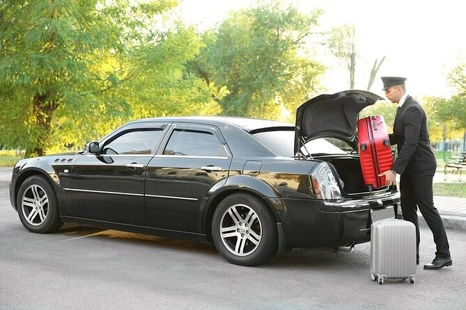 Private One way Airport Transfer Berlin Airport To Berlin - In the Vehicle: Comfort, Air-Conditioning, and a Stress-Free Ride