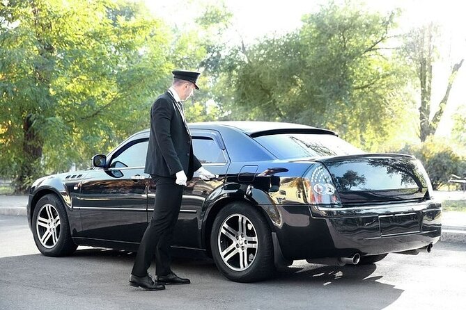 Private One way Airport Transfer Berlin Airport To Berlin - Who This Transfer Suits Best (and Who Might Prefer Something Else)