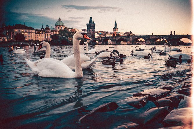 Private Transfer from Berlin to Prague with 2h of Sightseeing - Arriving in Prague: why drop-off at your accommodation matters