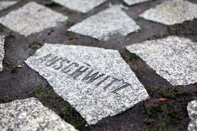 Private Walking Tour in Berlin: Hitler's Germany & WWII - The guide experience: asking questions matters